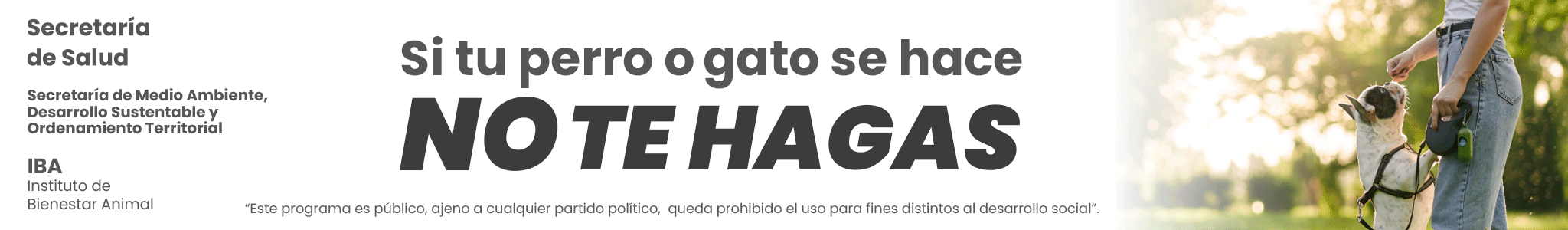 Tenencia responsable