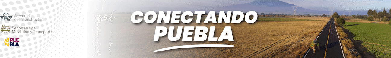 Movilidad Global