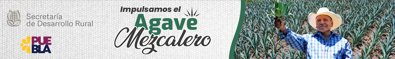 VIVEROS DE AGAVE