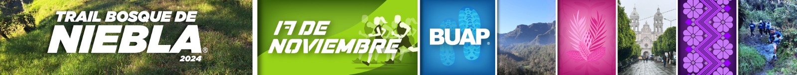 Trail Bosque de Niebla