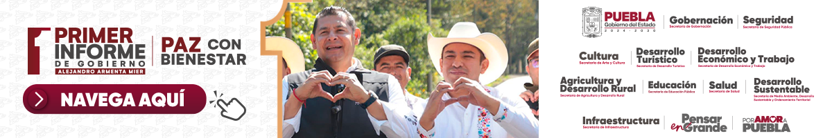 Informe navega aquí