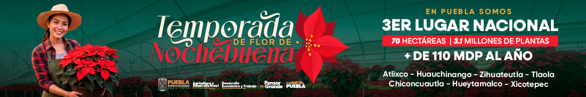 Nochebuena